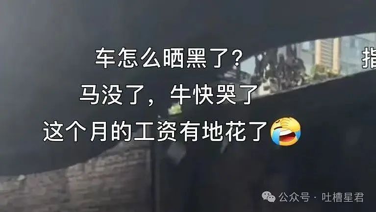 【爆笑】当打工人发现自己的电动车羽化登仙...?啊啊啊牛没有马还怎么上班(组图) - 7