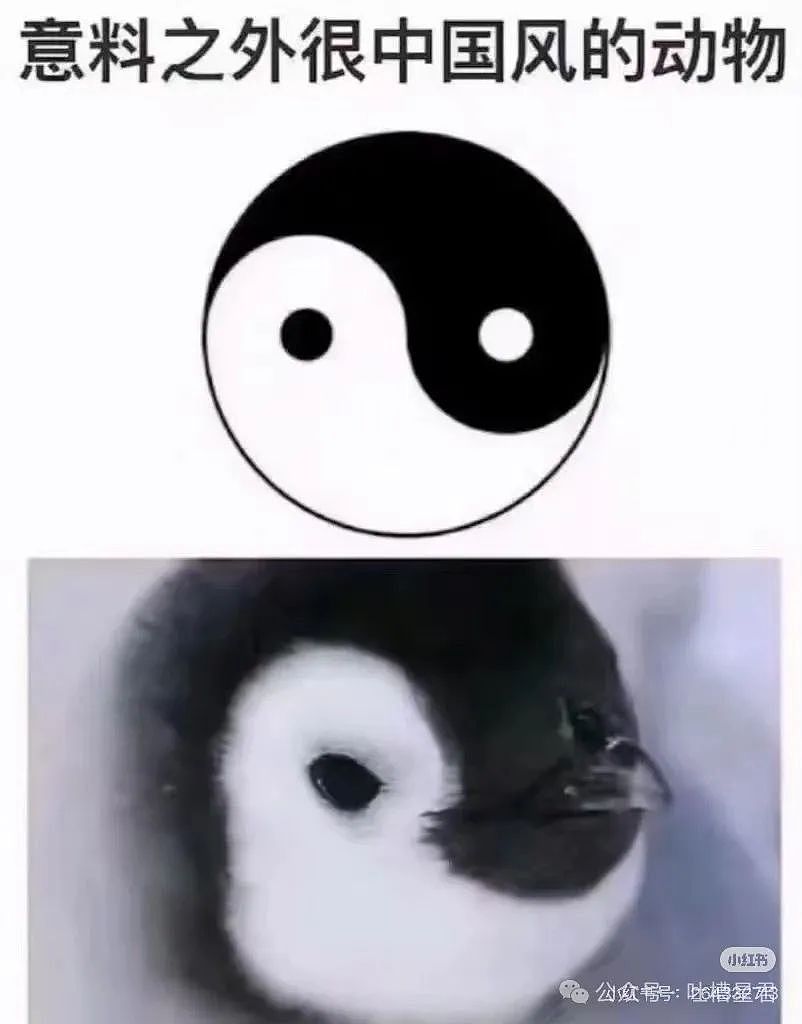 【爆笑】当打工人发现自己的电动车羽化登仙...?啊啊啊牛没有马还怎么上班(组图) - 16