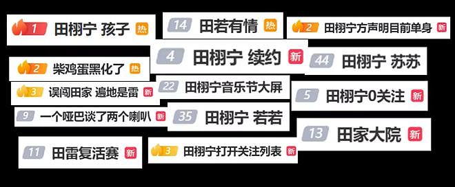 红不过十天就塌房！男星田栩宁疑似孕期出轨，湖南台又要打码了（组图） - 4