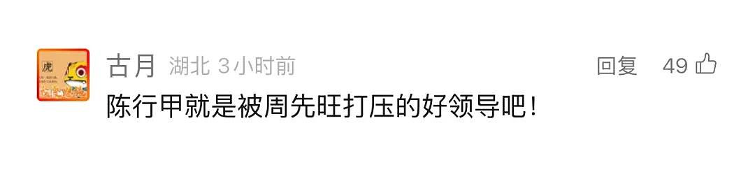 落马的武汉“封城”市长周先旺,曾打压陈行甲?揭秘来了(组图) - 4