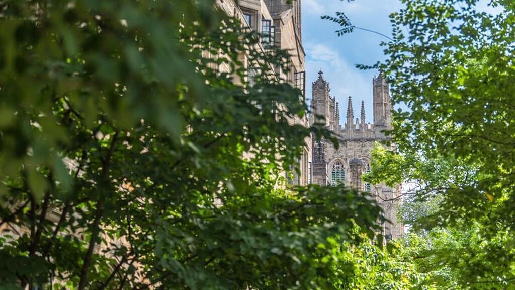 耶鲁大学在俄罗斯被宣布为不受欢迎（图） - 1