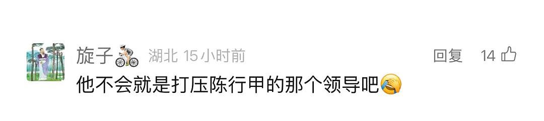 落马的武汉“封城”市长周先旺,曾打压陈行甲?揭秘来了(组图) - 3