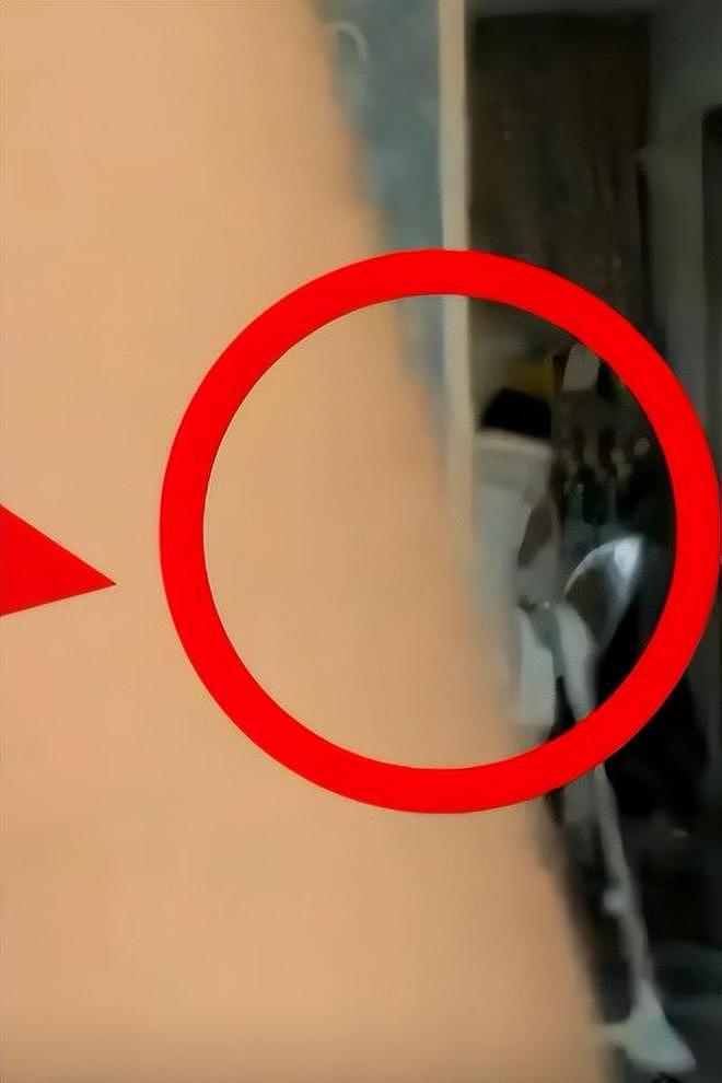 李小璐二胎风波升级!蛛丝马迹被扒,和贾乃亮复婚传闻才真相大白(组图) - 42