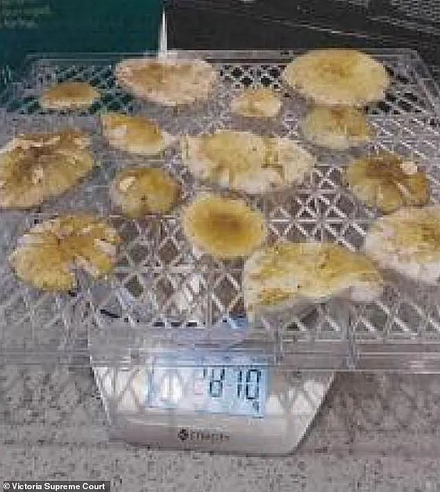 澳洲女子给丈夫全家做饭导致多人蘑菇中毒身亡,她坚称无辜,如今水落石出,真是谋杀(组图) - 13