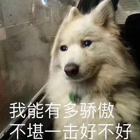 【爆笑】当打工人发现自己的电动车羽化登仙...?啊啊啊牛没有马还怎么上班(组图) - 1