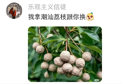 【爆笑】偷看男朋友手机，发现他同时交往了5个女朋友？网友无语：都快给自己干成客服了（组图） - 63