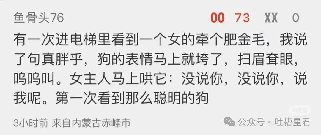 【爆笑】当打工人发现自己的电动车羽化登仙...?啊啊啊牛没有马还怎么上班(组图) - 35