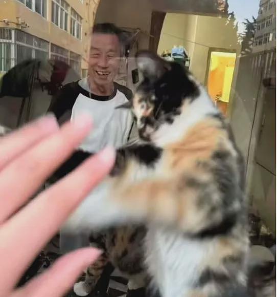 感动全校的宿管大爷猝死后,更荒诞的事情发生了(组图) - 4