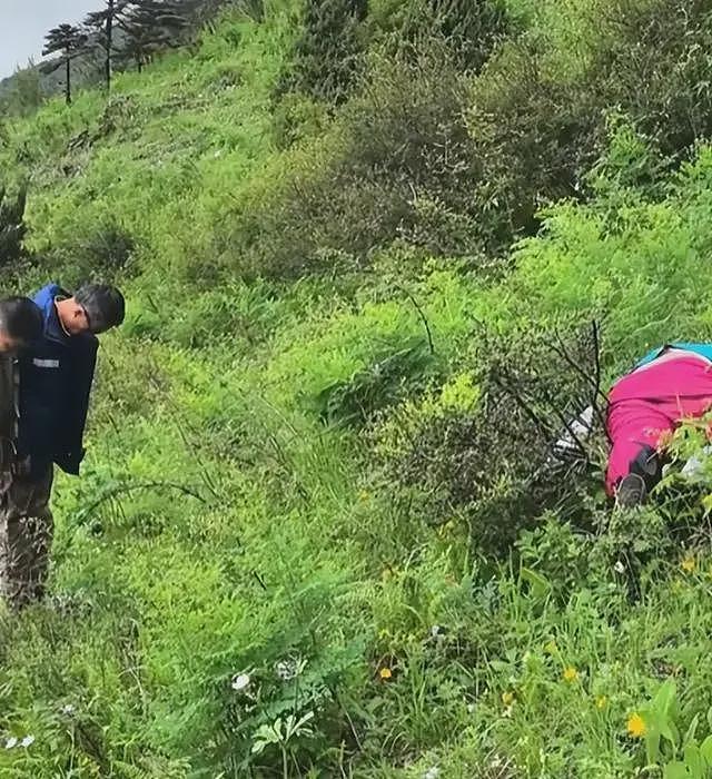 痛惜！丽江失联的女大学生遗体被发现，姐姐痛哭，聊天记录细节曝光（组图） - 9