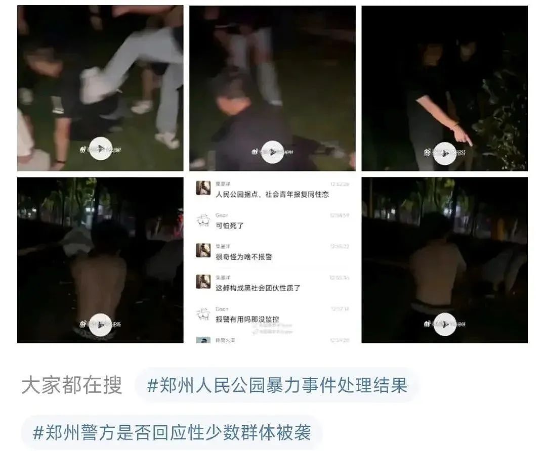 网传郑州人民公园内“黑社会”暴打小伙，现场视频流出凶手反被全网夸（视频/组图） - 1