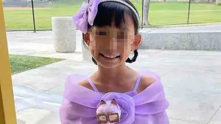 8岁华裔女孩因烟花爆炸身亡，社区募捐助单亲妈妈度难关（组图） - 3