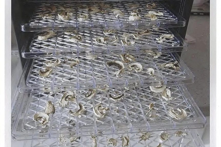 墨尔本毒蘑菇谋杀案中用来定罪的关键证据（视频/组图） - 10