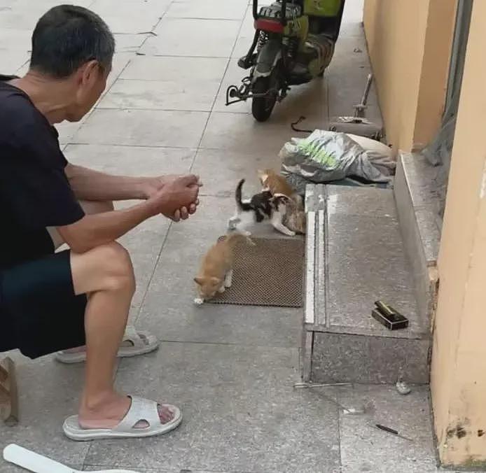 感动全校的宿管大爷猝死后,更荒诞的事情发生了(组图) - 3