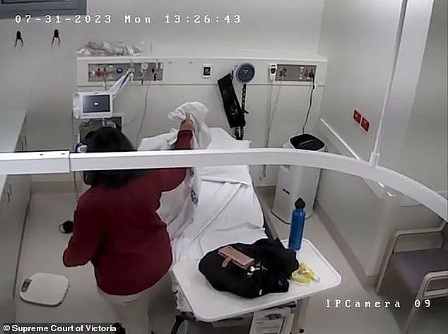 澳洲女子给丈夫全家做饭导致多人蘑菇中毒身亡,她坚称无辜,如今水落石出,真是谋杀(组图) - 11