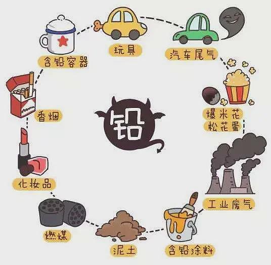 铅中毒离我们有多远?速查身边这些隐患(组图) - 5