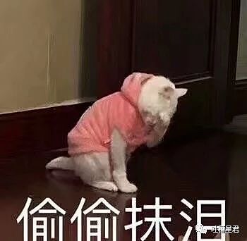 【爆笑】当打工人发现自己的电动车羽化登仙...?啊啊啊牛没有马还怎么上班(组图) - 2