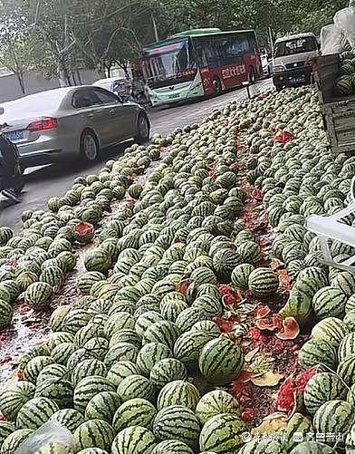 河南商丘一摊贩占据半边马路卖西瓜，被带走处理后西瓜遭哄抢（视频/组图） - 2