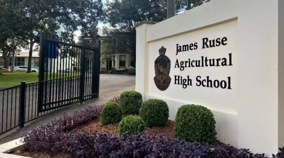 攻略来了！悉尼多所顶尖精英中学8-11年级开放入学申请！妥妥的逆袭机会（组图） - 1