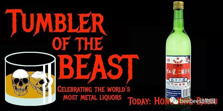 这帮老外喝白酒比中国人还玩得溜（组图） - 5