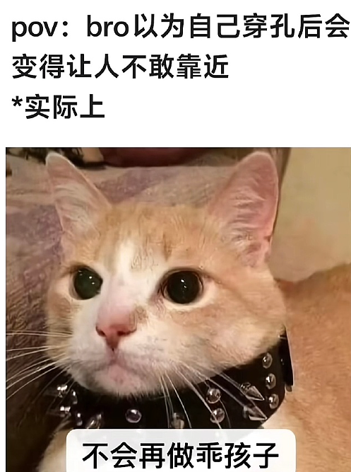 【爆笑】LV售价9300的布鞋就长这样？网友傻眼：懂时尚的和不懂时尚的都沉默了！（组图） - 12