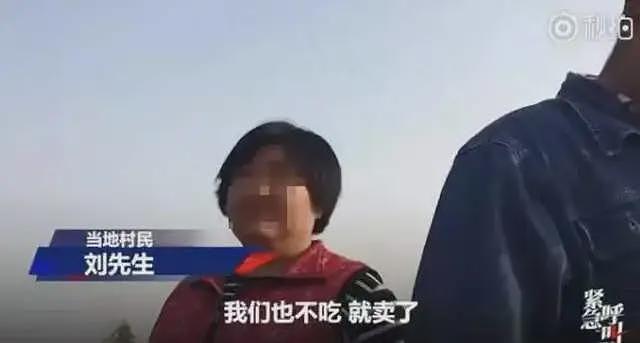 幼儿园附近有铅厂!疑后厨家属发声爆料,当地村民恐知内情(组图) - 9