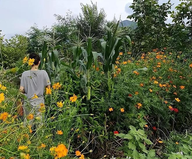 直到看完殷桃的家,终于明白她45岁却不着急结婚生子的原因了(组图) - 2