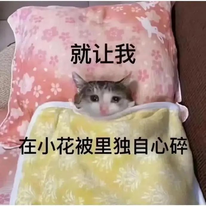 【爆笑】刷了老公的信用卡，结果离婚当天我欠了一大笔债？网友：真的细思极恐...（组图） - 24