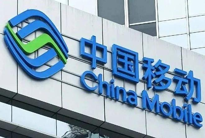 直到看完殷桃的家,终于明白她45岁却不着急结婚生子的原因了(组图) - 22