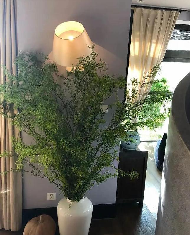 直到看完殷桃的家,终于明白她45岁却不着急结婚生子的原因了(组图) - 9