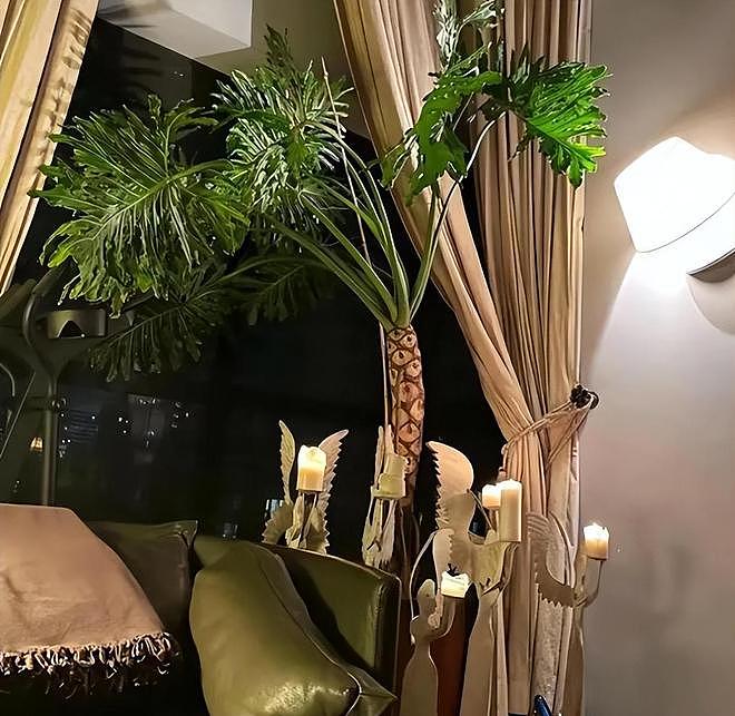 直到看完殷桃的家,终于明白她45岁却不着急结婚生子的原因了(组图) - 10