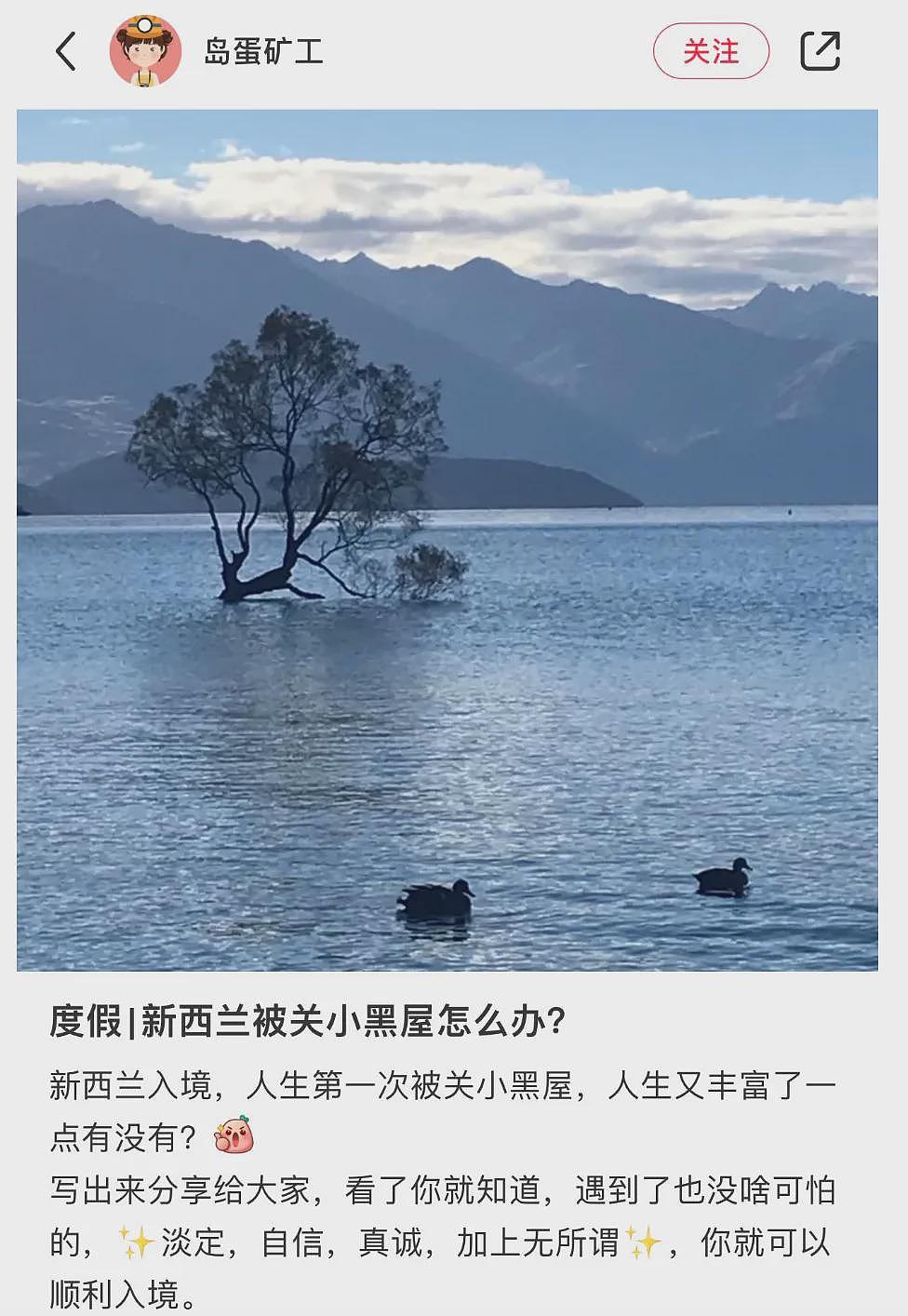 华人落地新西兰机场，却被拒绝入境！有人被关小黑屋！原因大公开（组图） - 2
