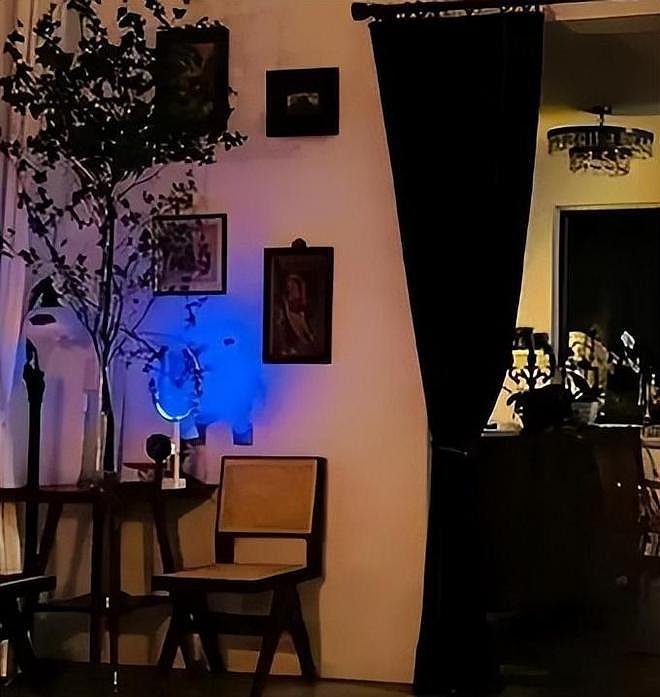 直到看完殷桃的家,终于明白她45岁却不着急结婚生子的原因了(组图) - 12