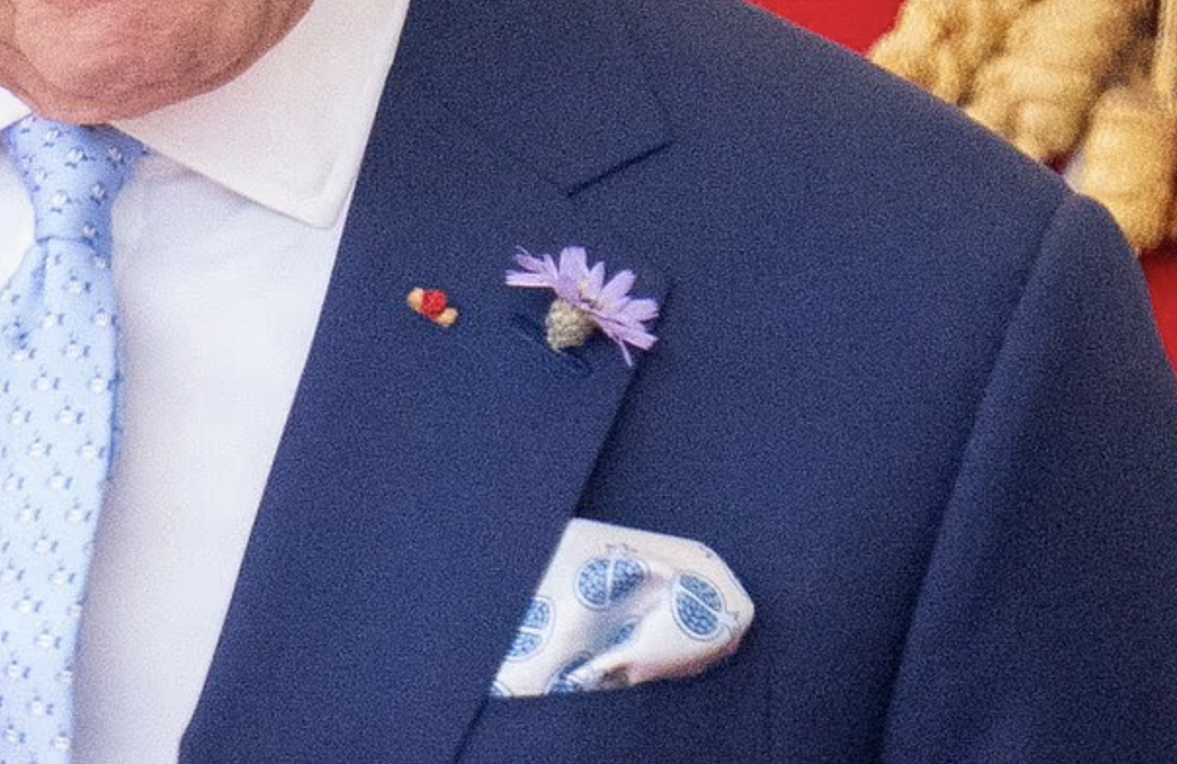 马克龙遇英囧:小丽两拒牵手,小马转吻凯特,这…(组图) - 19