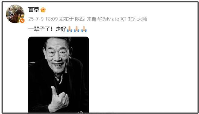 94岁杨少华高温天气被推去剪彩，下午就去世了，家属评论区沦陷（组图） - 2