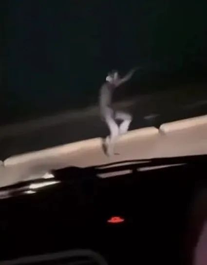 利物浦郊区惊现“豹人”？穿全套猫服，见人就喵喵叫，大哥沉浸在艺术中...（组图） - 4