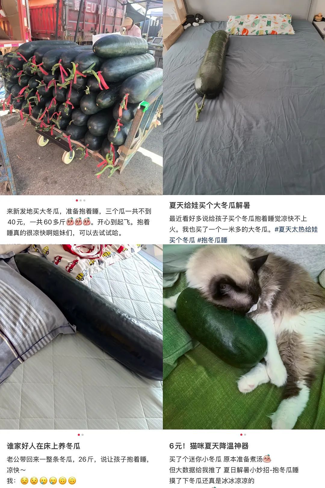 “抱冬瓜睡觉”突然走红，医生紧急提醒（组图） - 1