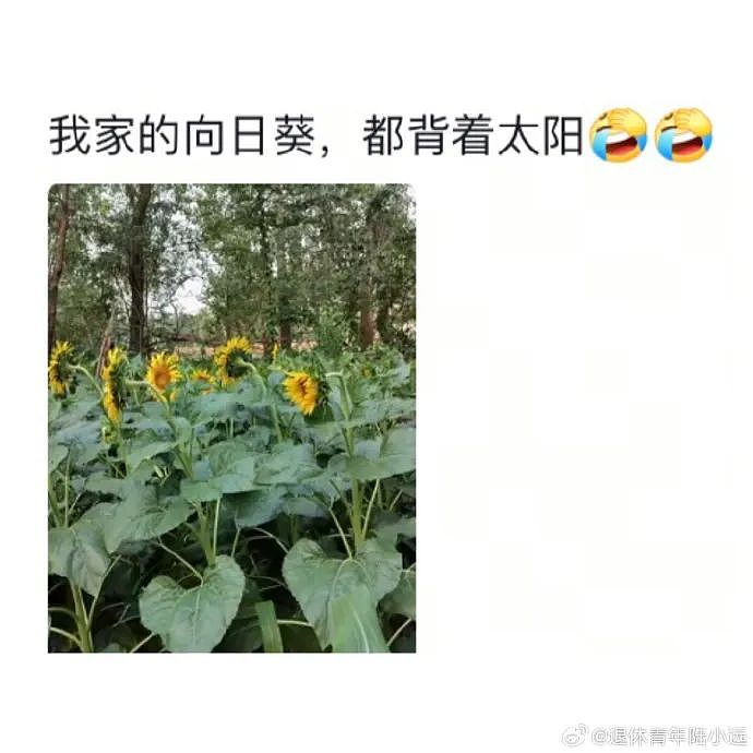 【爆笑】男朋友和女领导单独出差,是我小心眼么(组图) - 57