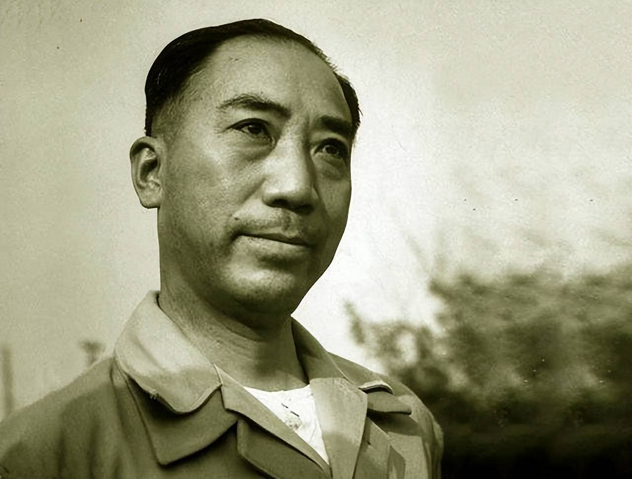 刺杀蒋介石，暗杀汪精卫，警告张学良，王亚樵究竟是什么身份？ （组图） - 17