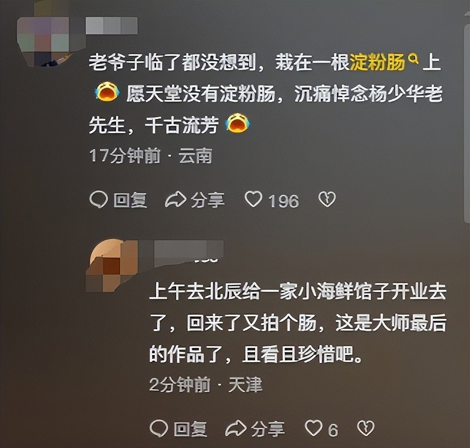 杨少华离世当天，儿子给他吃淀粉肠，抬手说话被打断，网友炸锅（组图） - 2