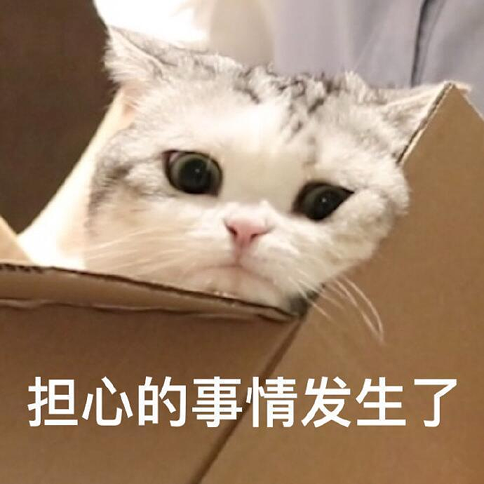 在新加坡留学的华人女大学生，赴泰旅游失踪近10个月！家人已转账超20万，更多细节曝光（组图） - 3