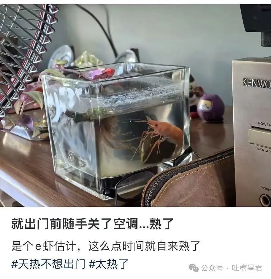 【爆笑】当我用中年油腻男的方式打开聊天…？网友震惊：第一次感受到语言骚扰的恐怖（组图） - 62