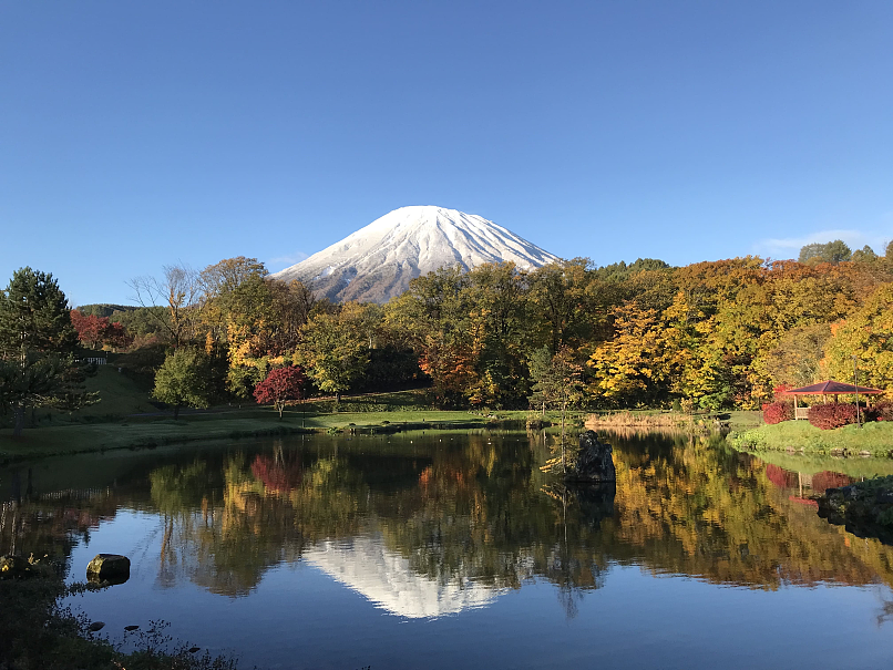 北海道遭中国人违法伐林，要盖“中国村”？（图） - 1