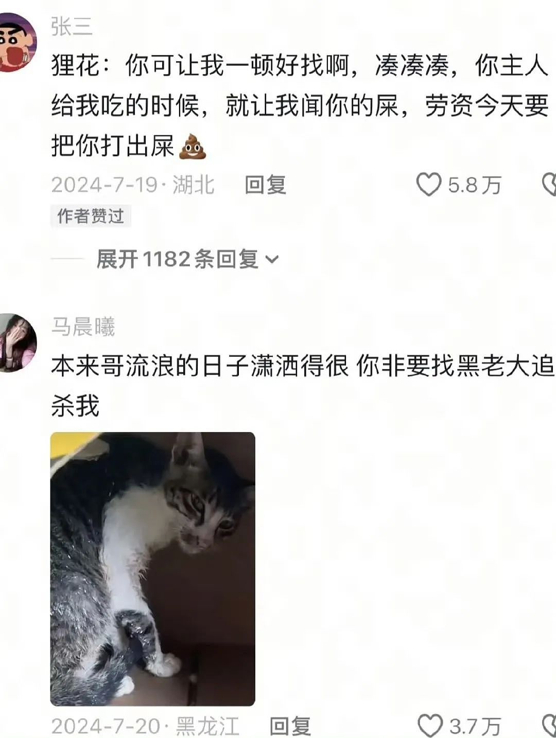 【爆笑】“当亲戚让我考研考编考公三手抓时…？”哈哈哈网友的攻击力我是认可的（组图） - 99