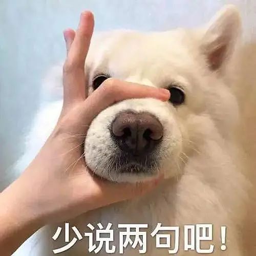 福建学渣为留学澳洲，竟拒绝参加高考！逼父母卖房引热议（组图） - 12