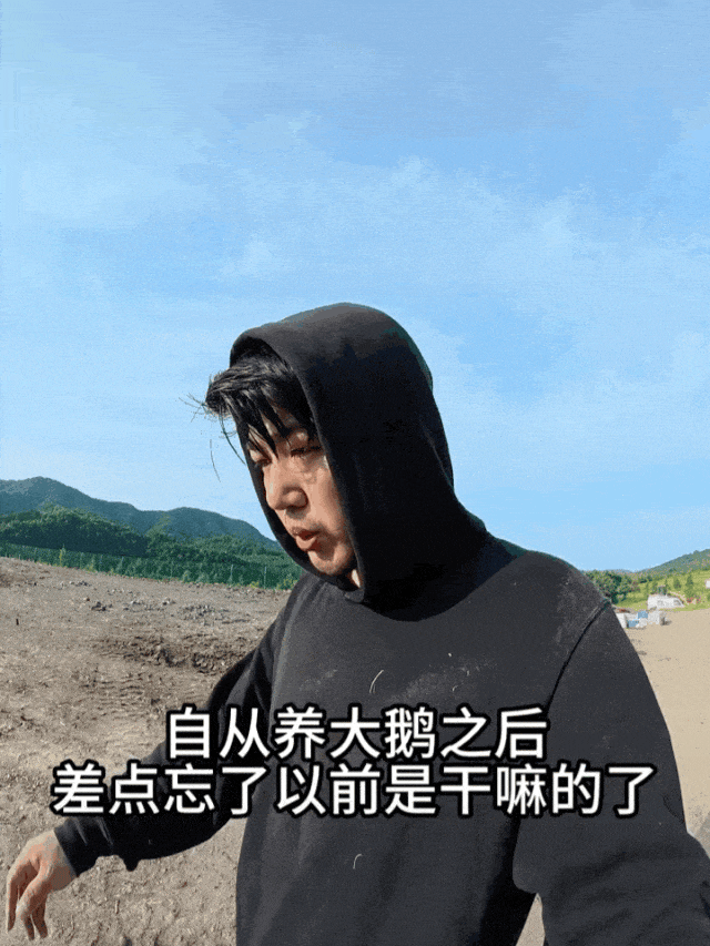 字节捧红的“网络商K”，一个月狂卷6000万（组图） - 2