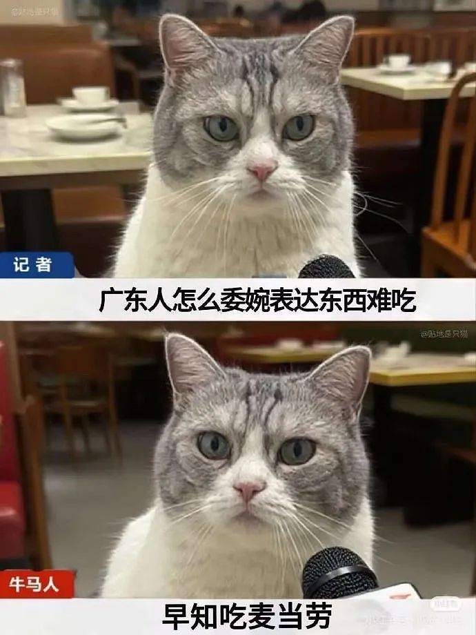 【爆笑】“和阿飘成为室友是什么体验？？”哈哈哈哈哈哈哈恐怖片变喜剧片了！（组图） - 10