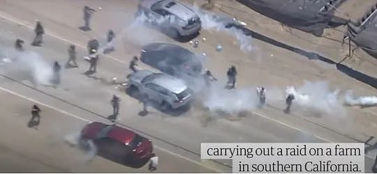 ICE突袭大麻农场逮200人，有童工，抗议者朝警开枪（组图） - 1