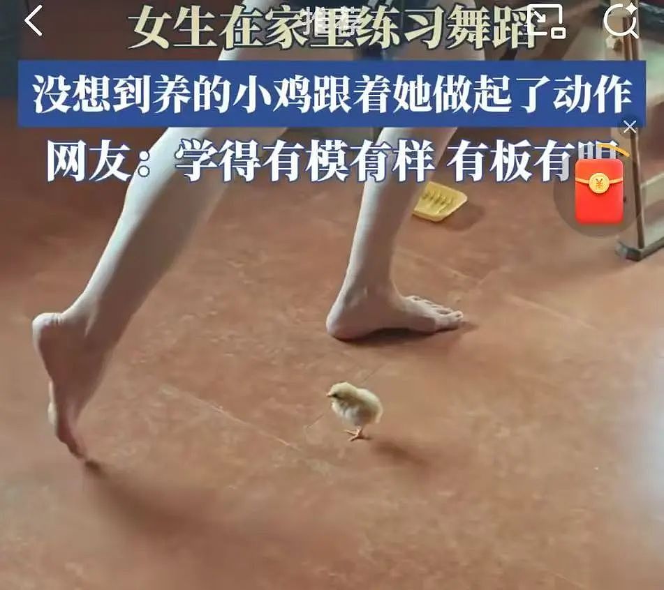 【爆笑】“当亲戚让我考研考编考公三手抓时…？”哈哈哈网友的攻击力我是认可的（组图） - 86