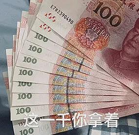 福建学渣为留学澳洲，竟拒绝参加高考！逼父母卖房引热议（组图） - 16