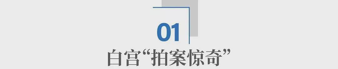 驴象之争闯进一匹马!马斯克,为什么非要从政?(组图) - 1